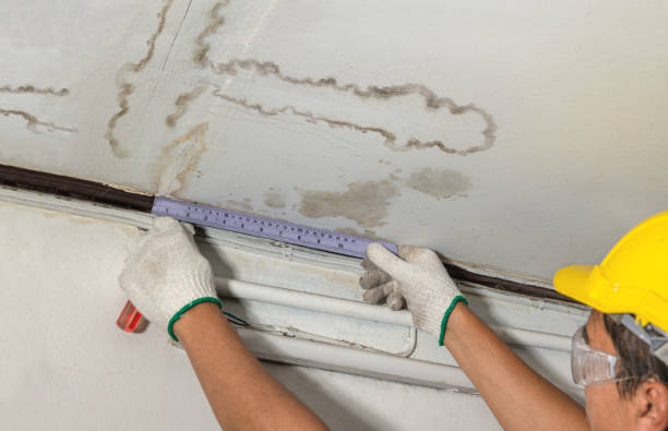 Reliable Mold Remediation contractor in Moore, TX by Water Damage Irwin